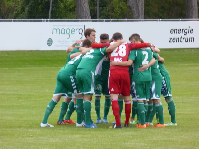 Rapid II - Austria Amateure, Elektra-Platz, Regionalliga Ost, 29/05/2015