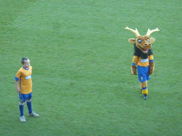Mansfield Town - FC Morecambe, Field Mill, League Two, 30/11/2013