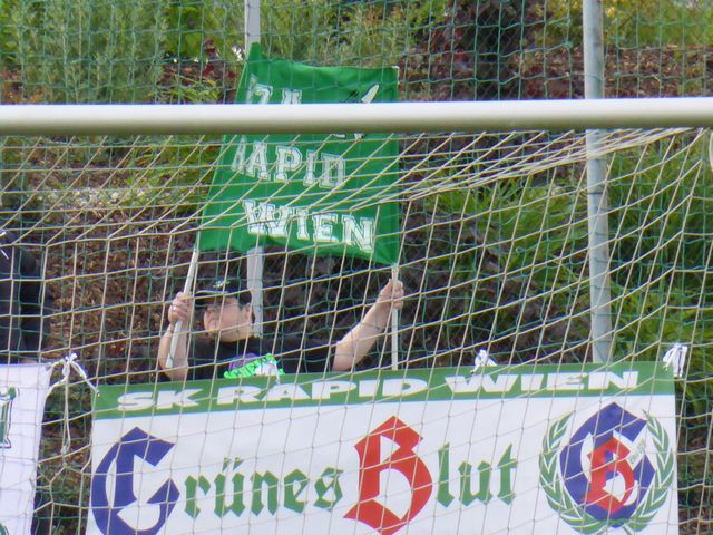 Rapid II - Austria Amateure, Elektra-Platz, Regionalliga Ost, 29/05/2015
