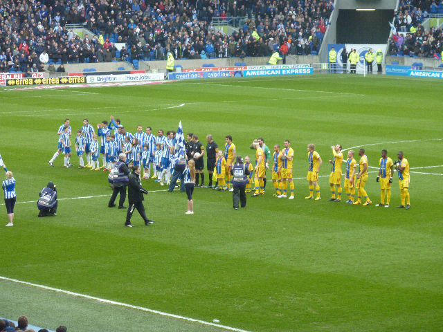 Brighton & Hove Albion - Crystal Palace, Amex Stadium, Championship, 17/03/2013